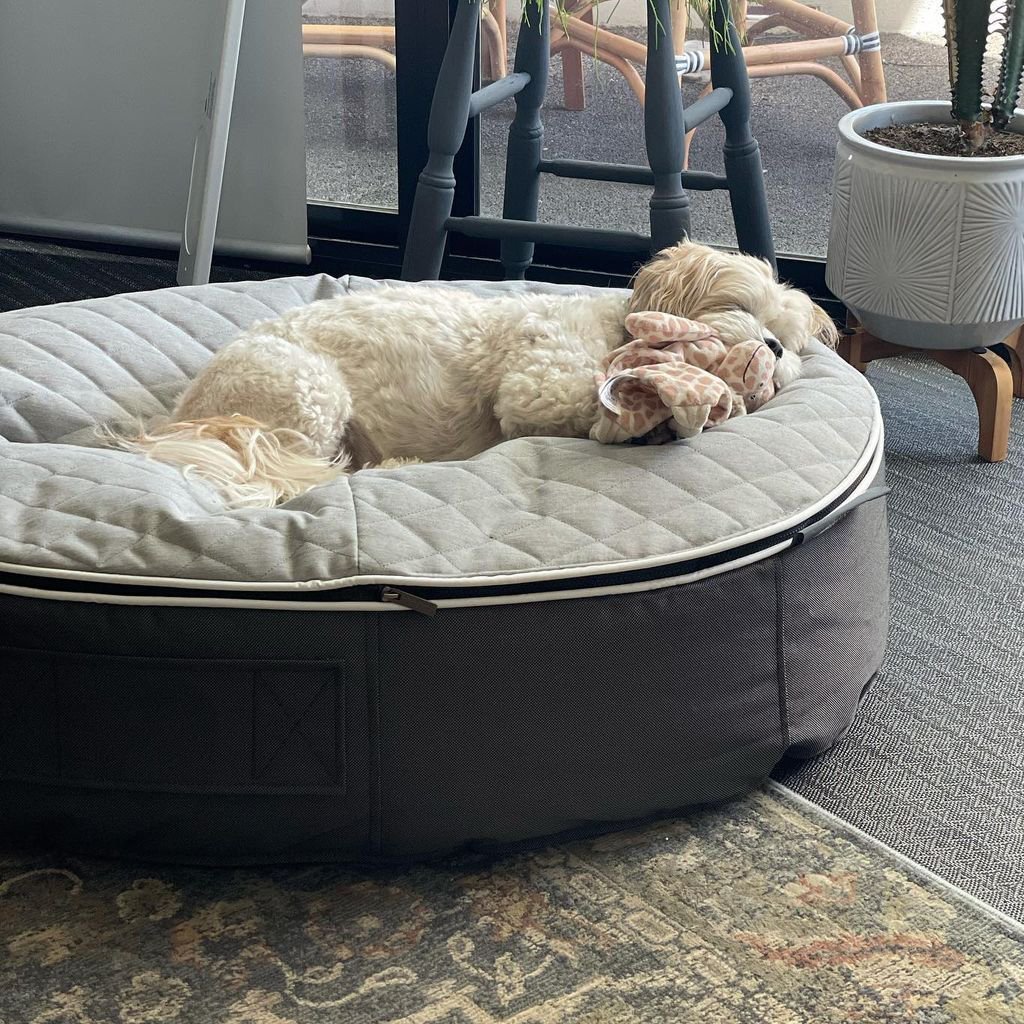 Лежак для собак Pet Lounge Medium - ThermoQuilt (Premium)